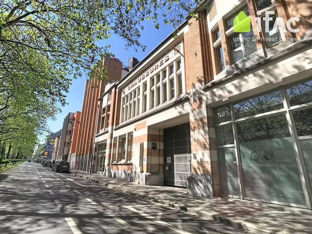 Lichtrijke loft met grote leefruimte nabij het park