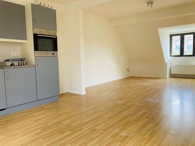 Knus 1 slaapkamer appartement - Dailly Wijk