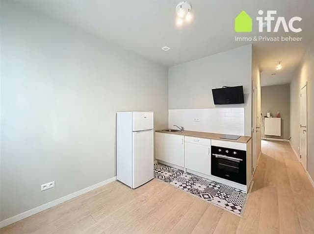 Renovated apartment with terrace for rent in 1000 Brussels